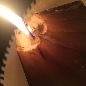 Meet your Posher, Punkin